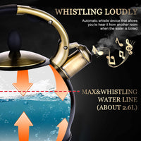 Black Whistling Tea Kettle