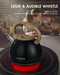 Black Titanium Tea Kettle