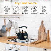 Black Stainless Steel Teapot