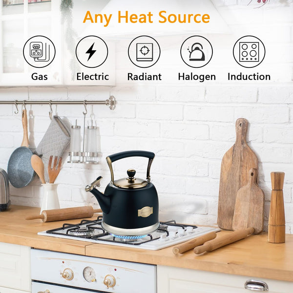 Black Stainless Steel Teapot