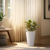 White Tall Round Planters (Set of 2)