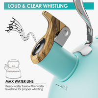 Blue Stovetop Tea Kettle