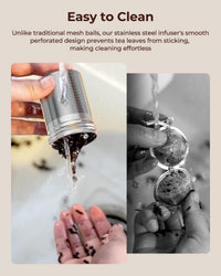 Steel Tea Infuser Balls (Set of 2)