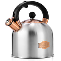 Silver Whistling Tea Kettle