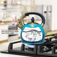 Blue Steel Tea Kettle