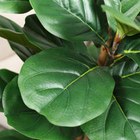 Faux Fiddle Leaf Fig Tree