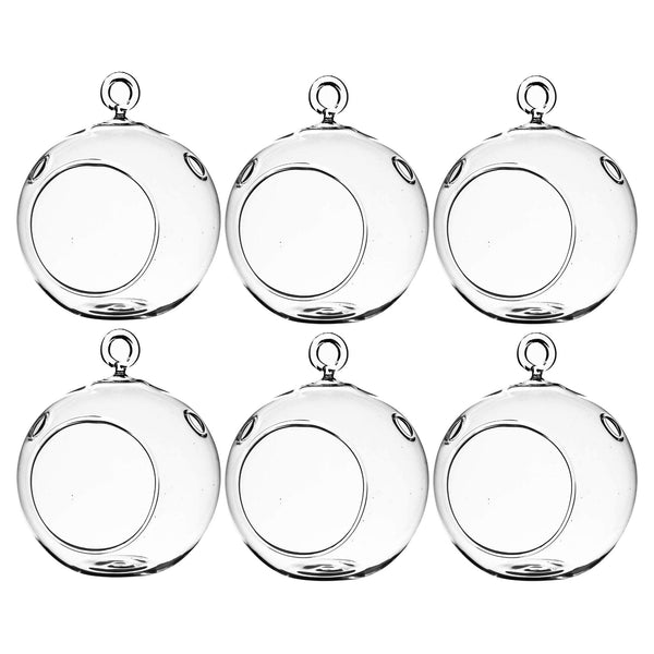 Clear Glass Terrarium Globe (Set of 6)