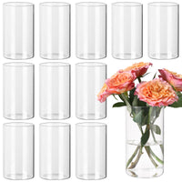 Clear Glass Cylinder Vases (Set of 12)