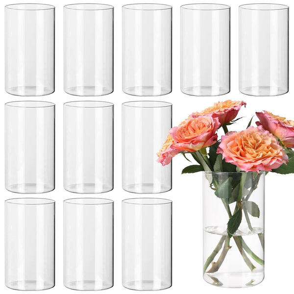 Clear Glass Cylinder Vases (Set of 12)