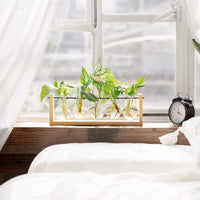 Beige Wood Propagation Stand