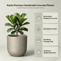 Weathered Concrete Capsule Planter