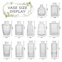 Transparent Glass Bud Vases