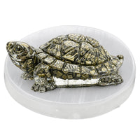 Pyrite Tortoise on Selenite Plate