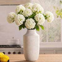Off-White Terracotta Vase