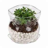 Clear Glass Serving Bowl