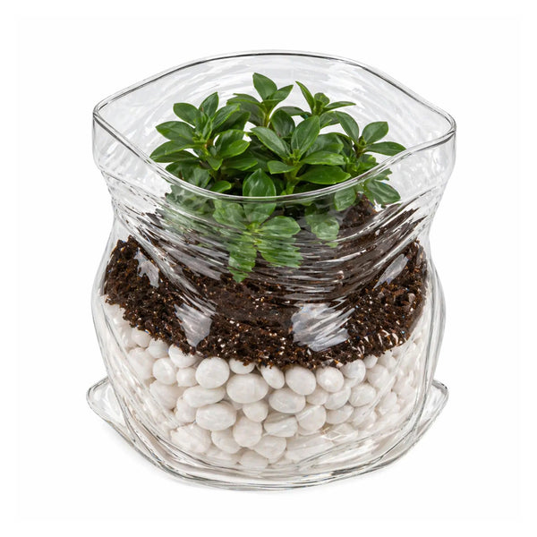 Clear Glass Serving Bowl