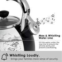 Matte Black Tea Kettle