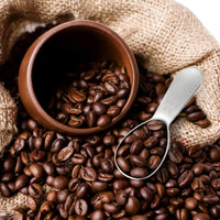 Steel Coffee Scoops (Set of 4)