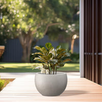 Weathered Concrete Bowl Planter