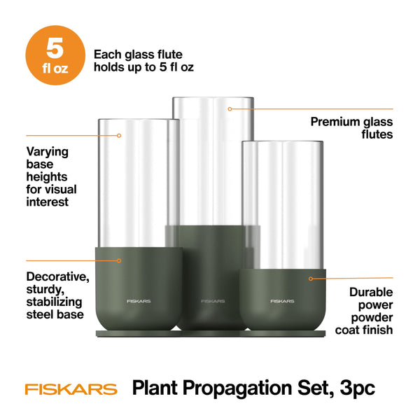 Glass Propagation Vase (Set of 3)