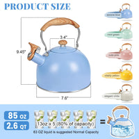 Serene Blue Tea Kettle