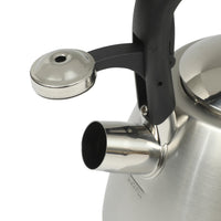 Brushed Steel Tea Kettle