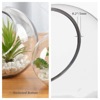 Clear Glass Globe Vase