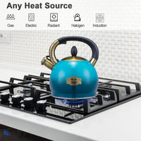 Blue Steel Tea Kettle