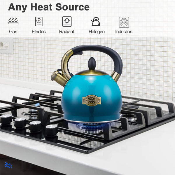 Blue Steel Tea Kettle