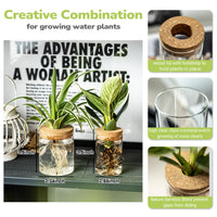 Glass Propagation Vases (Set of 12)
