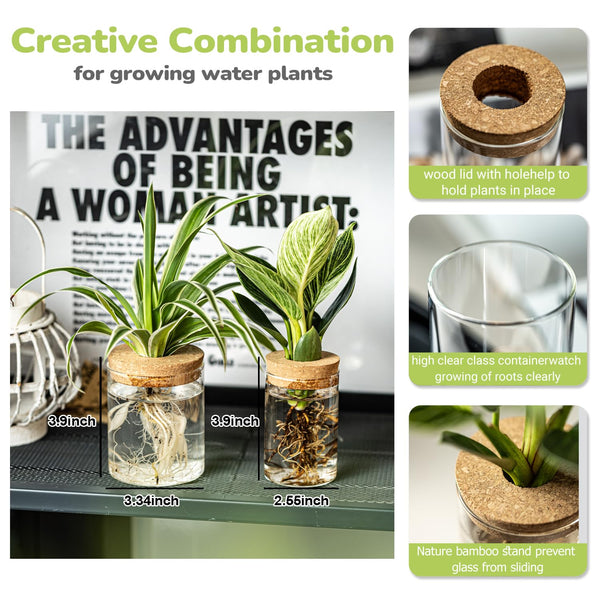 Glass Propagation Vases (Set of 12)