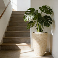 Beige Stone Round Planters (Set of 2)