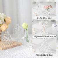 Transparent Glass Bud Vases