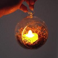 Clear Glass Terrarium Globe (Set of 6)