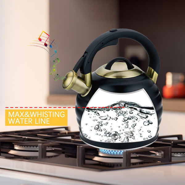 Black Stovetop Tea Kettle