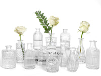 Clear Glass Bud Vases (Set of 12)