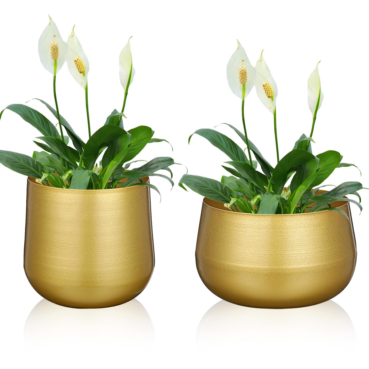 Gold Metal Planter Vase (Set of 2)