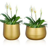 Gold Metal Planter Vase (Set of 2)