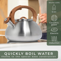Steel Whistling Tea Kettle