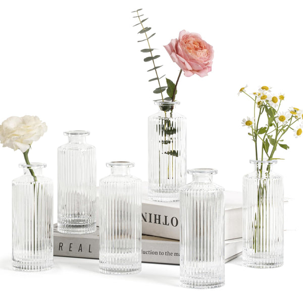 Clear Glass Bud Vases (Set of 6)