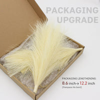 Pampas Gold Metal Wall Art (Set of 2)