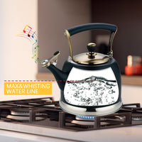 Black Stainless Steel Teapot