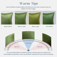 Green Velvet Throw Pillow Cover (Set of 2)