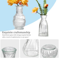 Assorted Clear Bud Vases (Set of 64)
