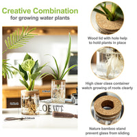 Glass Propagation Vases (Set of 4)