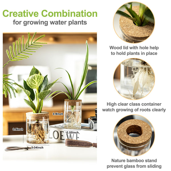 Glass Propagation Vases (Set of 4)