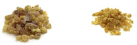 Frankincense Tree Resin