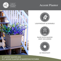 Evergreen Square Planter (Set of 2)