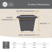 Evergreen Square Planter (Set of 2)