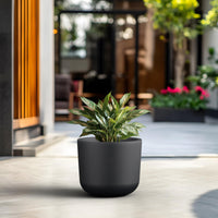 Black Concrete Capsule Planter